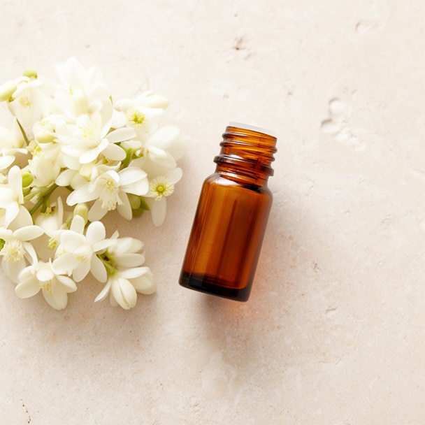 Linea Osmanthus